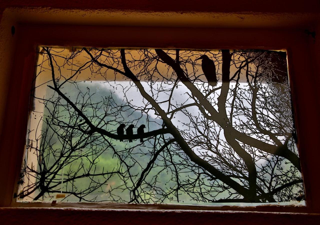 Beau Vallon - Gîte et Chambres d'Hôtes Pyrénées-Méditerranée - Pays Catalan Sahorre Esterno foto